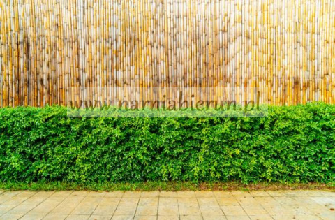MATA BAMBUSOWA 100 cm x 300 cm x 12 mm MATA BAMBUSOWA 100 cm x 300 cm x 12 mm