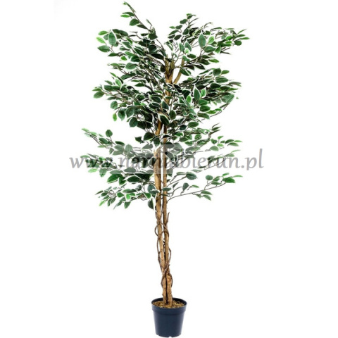SZTUCZNE DRZEWO FIKUS BENJAMIN 160 CM DRZEWKO SZTUCZNE DRZEWO FIKUS BENJAMIN 160 CM DRZEWKO