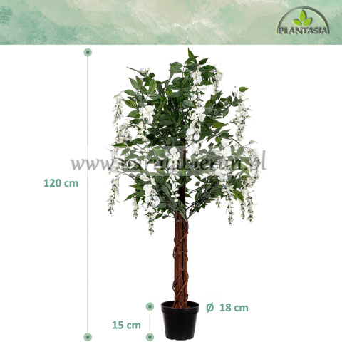 SZTUCZNE DRZEWO WISTERIA GLICYNIA BIAŁA 120 CM SZTUCZNE DRZEWO WISTERIA GLICYNIA BIAŁA 120 CM