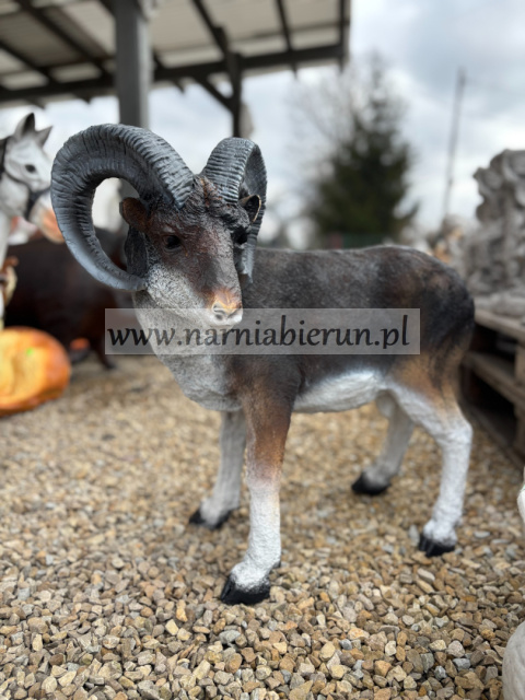 figurka muflon europejski, kozioł figurka muflon europejski, kozioł