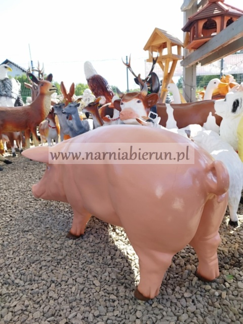 Figurka ogrodowa z żywicy ŚWINIA PROSIĘ ŚWINKA 90 cm Figurka ogrodowa z żywicy ŚWINIA PROSIĘ ŚWINKA 90 cm