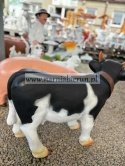 Figurka ogrodowa KROWA CZARNO BIAŁA 82 cm Figurka ogrodowa KROWA CZARNO BIAŁA 82 cm