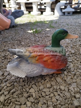 Figurka ogrodowa z żywicy Kaczka dzika 30 cm