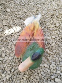 Figurka ogrodowa z żywicy Kaczka dzika 30 cm
