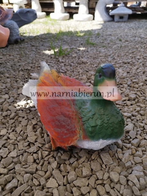 Figurka ogrodowa z żywicy Kaczka dzika 30 cm Figurka ogrodowa z żywicy Kaczka dzika 30 cm
