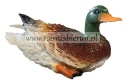 Figurka ogrodowa z żywicy Kaczka dzika 30 cm