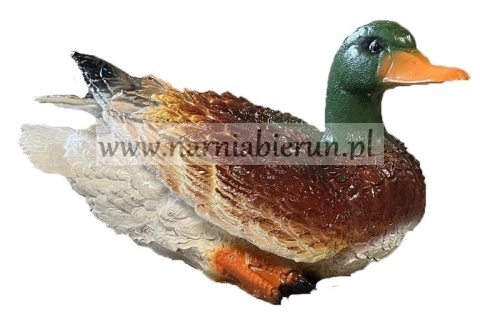 Figurka ogrodowa z żywicy Kaczka dzika 30 cm Figurka ogrodowa z żywicy Kaczka dzika 30 cm