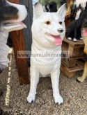Figurka ogrodowa pies hachi akita