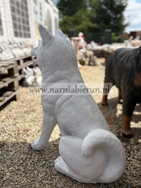 Figurka ogrodowa pies hachi akita Figurka ogrodowa pies hachi akita