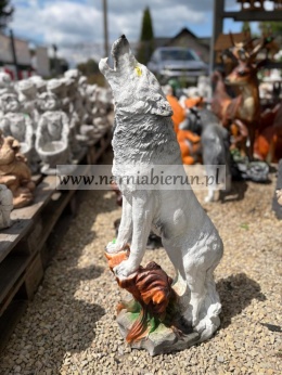 Figurka ogrodowa z żywicy WILK wyjący 90cm.