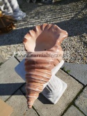 Figurka z ceramiki Muszla muszelka donica doniczka 35 cm Figurka z ceramiki Muszla muszelka donica doniczka 35 cm
