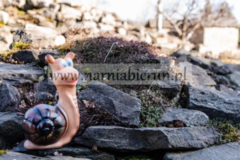 Figurka z ceramiki wesoły ślimak Figurka z ceramiki wesoły ślimak