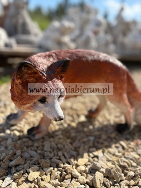 Figurka z żywcy Lisek lis 43 cm Figurka z żywcy Lisek lis 43 cm