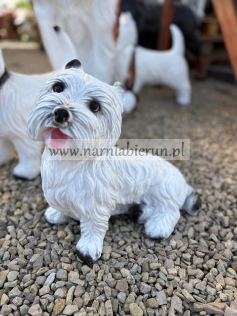 Figurka z żywicy Sznaucer Maltańczyk West pies 30 cm Figurka z żywicy Sznaucer Maltańczyk West pies 30 cm