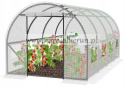 Tunel ogrodowy foliowy 6x3x2 foliak biały 600X300X200cm Ocynk