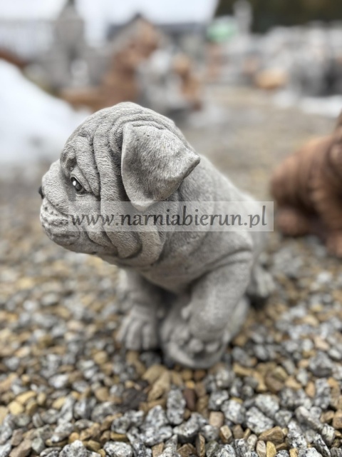Figurka betonowa Figura PIES BULDOG 25 cm