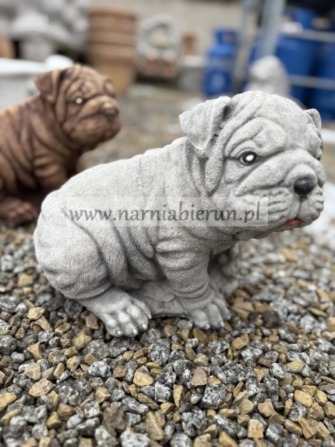 Figurka betonowa Figura PIES BULDOG 25 cm