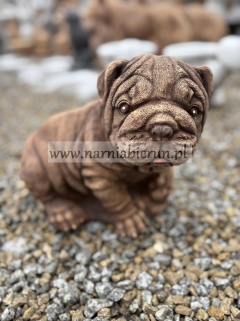 Figurka betonowa Figura PIES BULDOG 25 cm