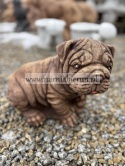 Figurka betonowa Figura PIES BULDOG 25 cm