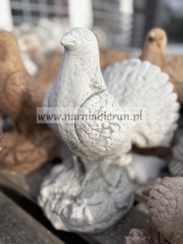 Figurka betonowa PAW GŁUSZEC Gołąb PTAK 32 cm.