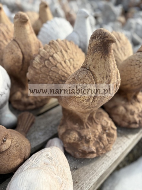 Figurka betonowa PAW GŁUSZEC Gołąb PTAK 32 cm.