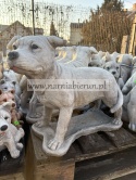 Figurka betonowa PIES Amerykański Staffordshire terrier Amstaff stojący 47 cm.
