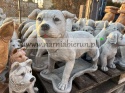 Figurka betonowa PIES Amerykański Staffordshire terrier Amstaff stojący 47 cm.