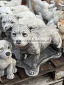 Figurka betonowa PIES Amerykański Staffordshire terrier Amstaff stojący 47 cm.