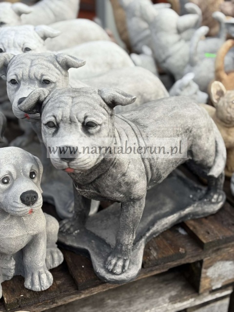 Figurka betonowa PIES Amerykański Staffordshire terrier Amstaff stojący 47 cm.