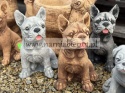 Figurka betonowa PIES BULDOG FRANCUSKI 27 cm.