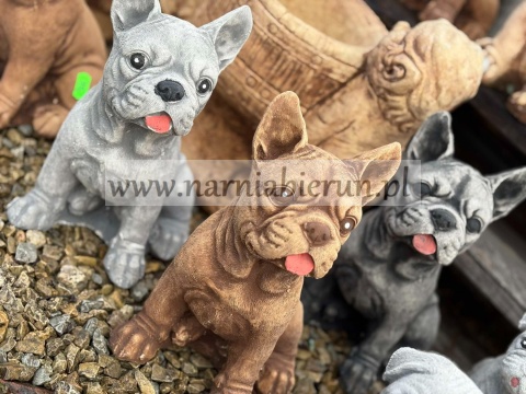 Figurka betonowa PIES BULDOG FRANCUSKI 27 cm.