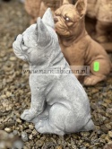 Figurka betonowa PIES BULDOG FRANCUSKI 27 cm.