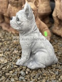 Figurka betonowa PIES BULDOG FRANCUSKI 27 cm.