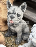 Figurka betonowa PIES BULDOG FRANCUSKI 27 cm.