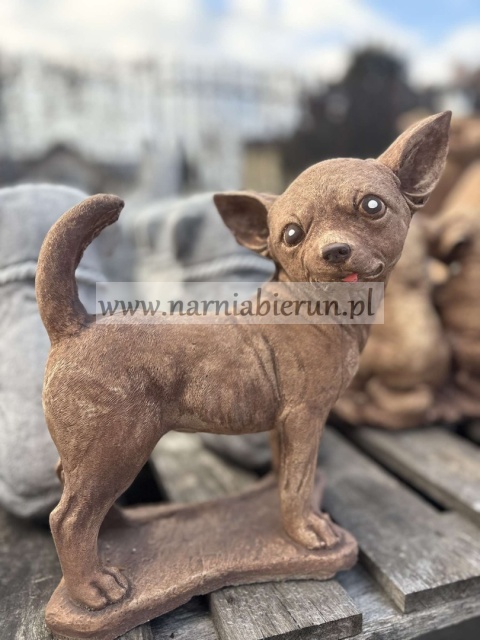 Figurka betonowa PIES CHIHUAHUA stojący 32 cm.