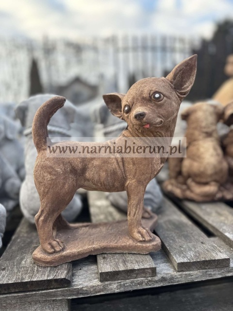 Figurka betonowa PIES CHIHUAHUA stojący 32 cm.