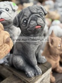 Figurka betonowa PIES PIESEK MOPS 24 cm.