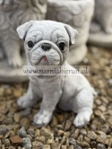 Figurka betonowa PIES PIESEK mały MOPS 16 cm.