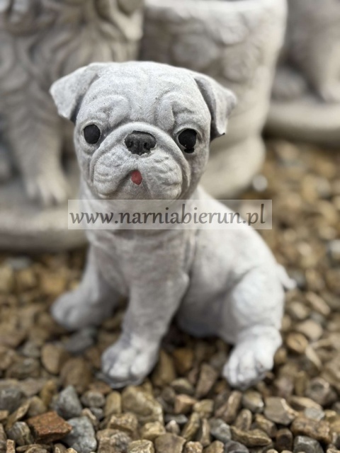 Figurka betonowa PIES PIESEK mały MOPS 16 cm.