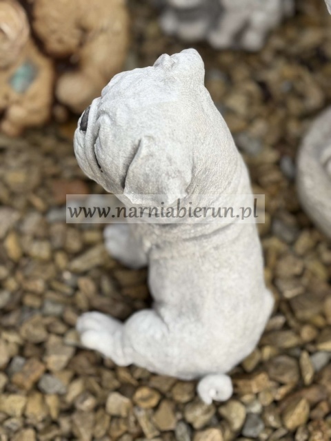 Figurka betonowa PIES PIESEK mały MOPS 16 cm.