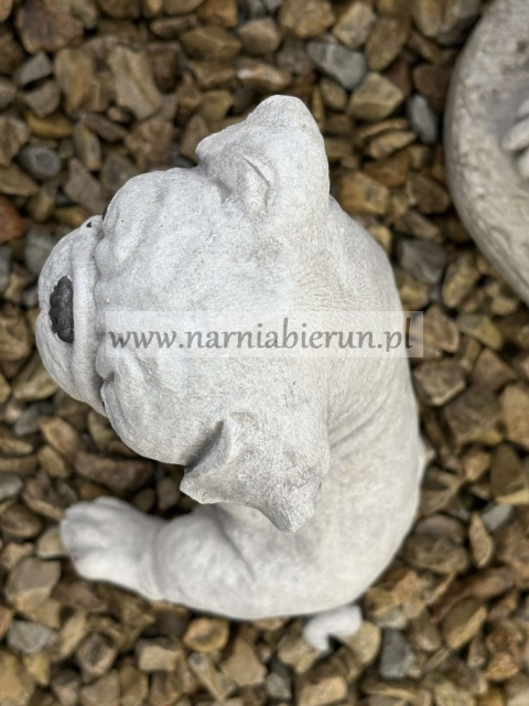 Figurka betonowa PIES PIESEK mały MOPS 16 cm.