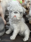 Figurka betonowa PIES PIESEK mały MOPS 16 cm.