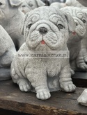 Figurka betonowa PIES PIESEK szczeniak MOPS 16 cm.