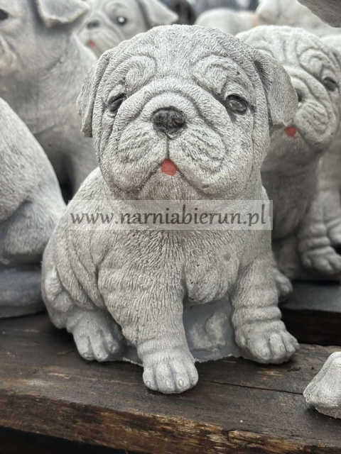 Figurka betonowa PIES PIESEK szczeniak MOPS 16 cm.