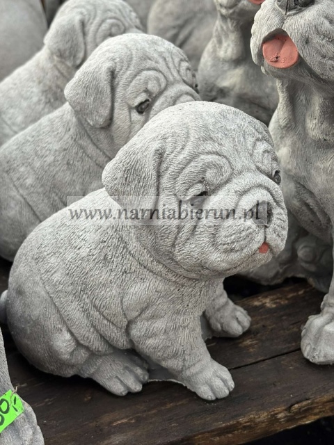 Figurka betonowa PIES PIESEK szczeniak MOPS 16 cm.