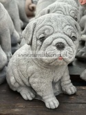 Figurka betonowa PIES PIESEK szczeniak MOPS 16 cm.