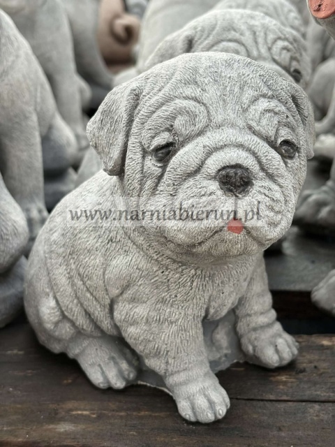 Figurka betonowa PIES PIESEK szczeniak MOPS 16 cm.