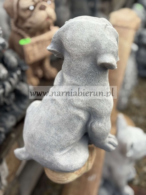 Figurka betonowa Pies piesek siedzący LABRADOR 25 cm.
