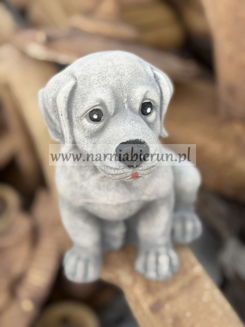 Figurka betonowa Pies piesek siedzący LABRADOR 25 cm.