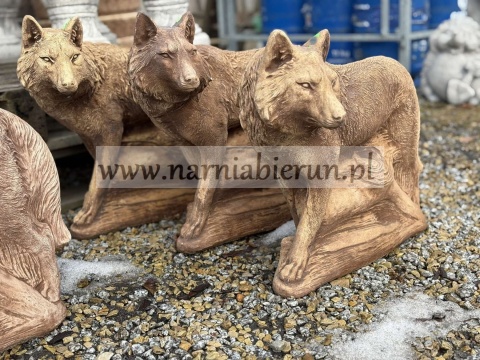 Figurka ogrodowa betonowa WILK STOJĄCY 60cm .